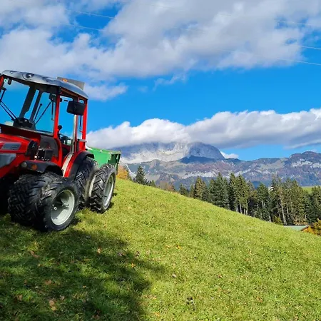 Brandhof Fieberbrunn