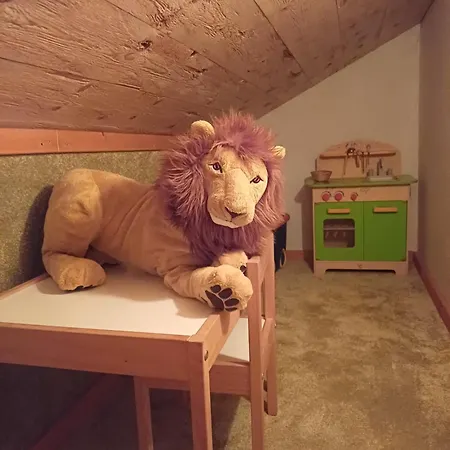 Apartmán Brandhof Fieberbrunn