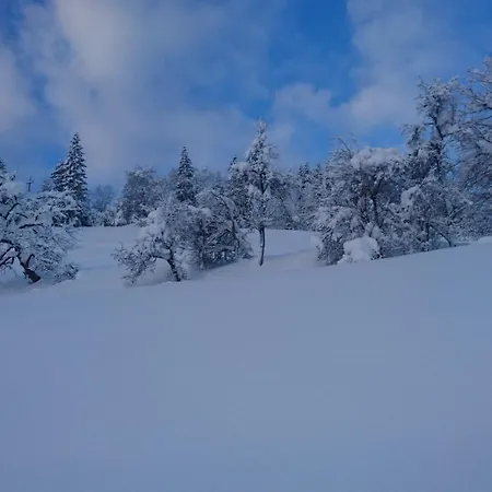 Brandhof Apartmán Fieberbrunn