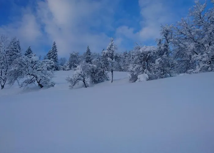 Brandhof Διαμέρισμα Fieberbrunn